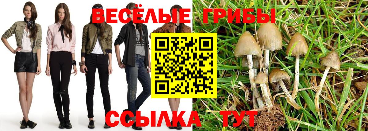 Галлюциногенные грибы GOLDEN TEACHER Алексеевка