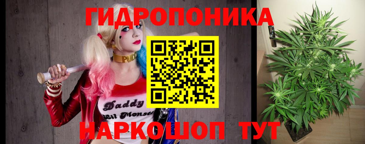 Конопля марихуана Алексеевка